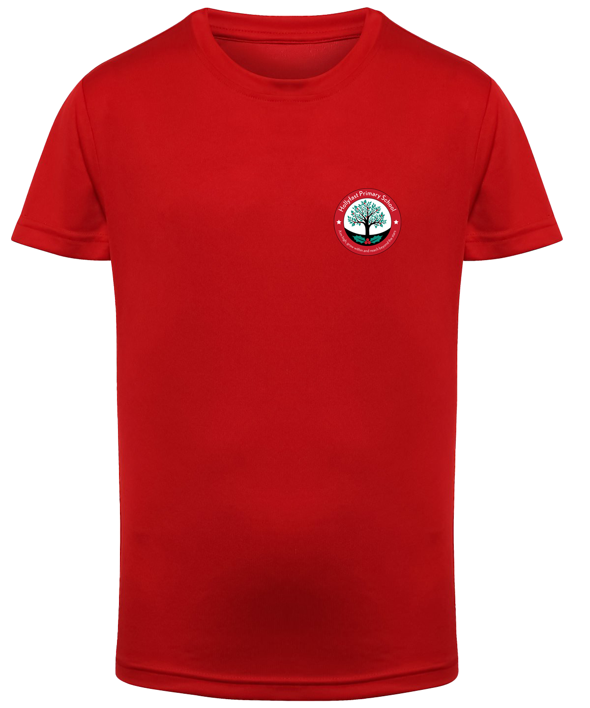 Hollyfast Primary School NEW STYLE PE T-shirt