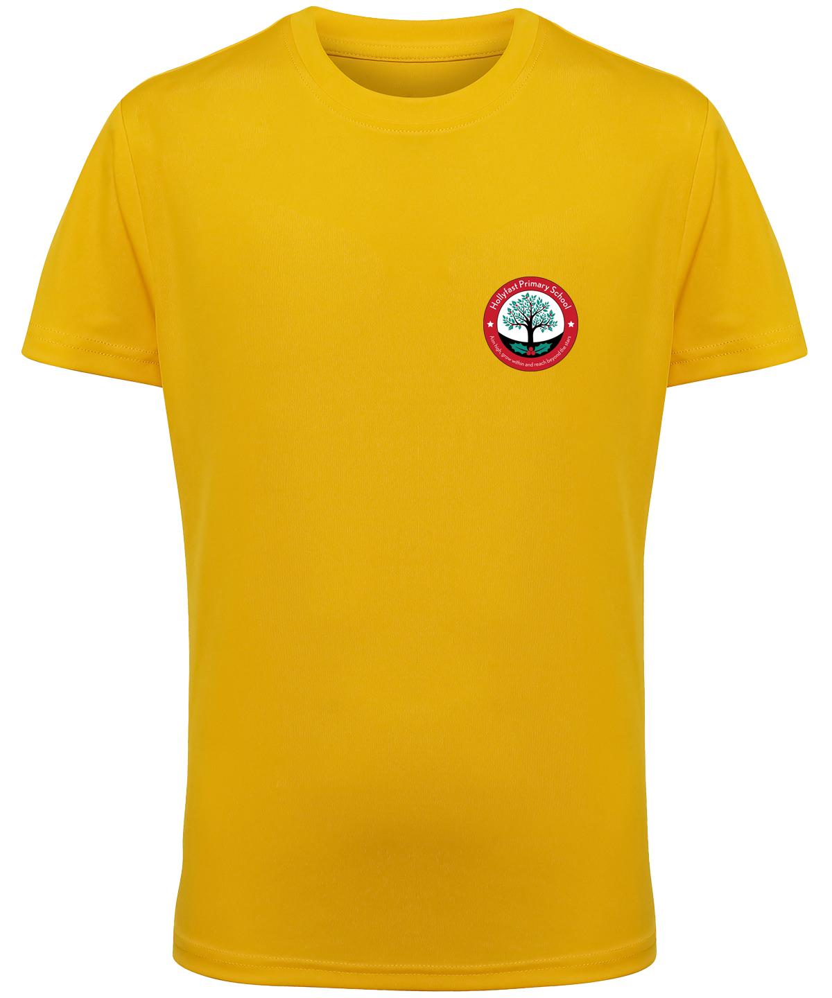Hollyfast Primary School NEW STYLE PE T-shirt