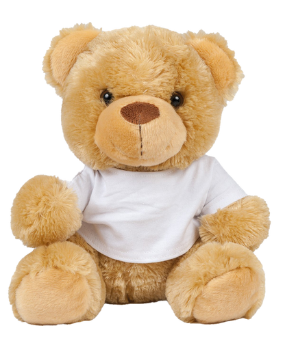 Valentines Teddy in a T