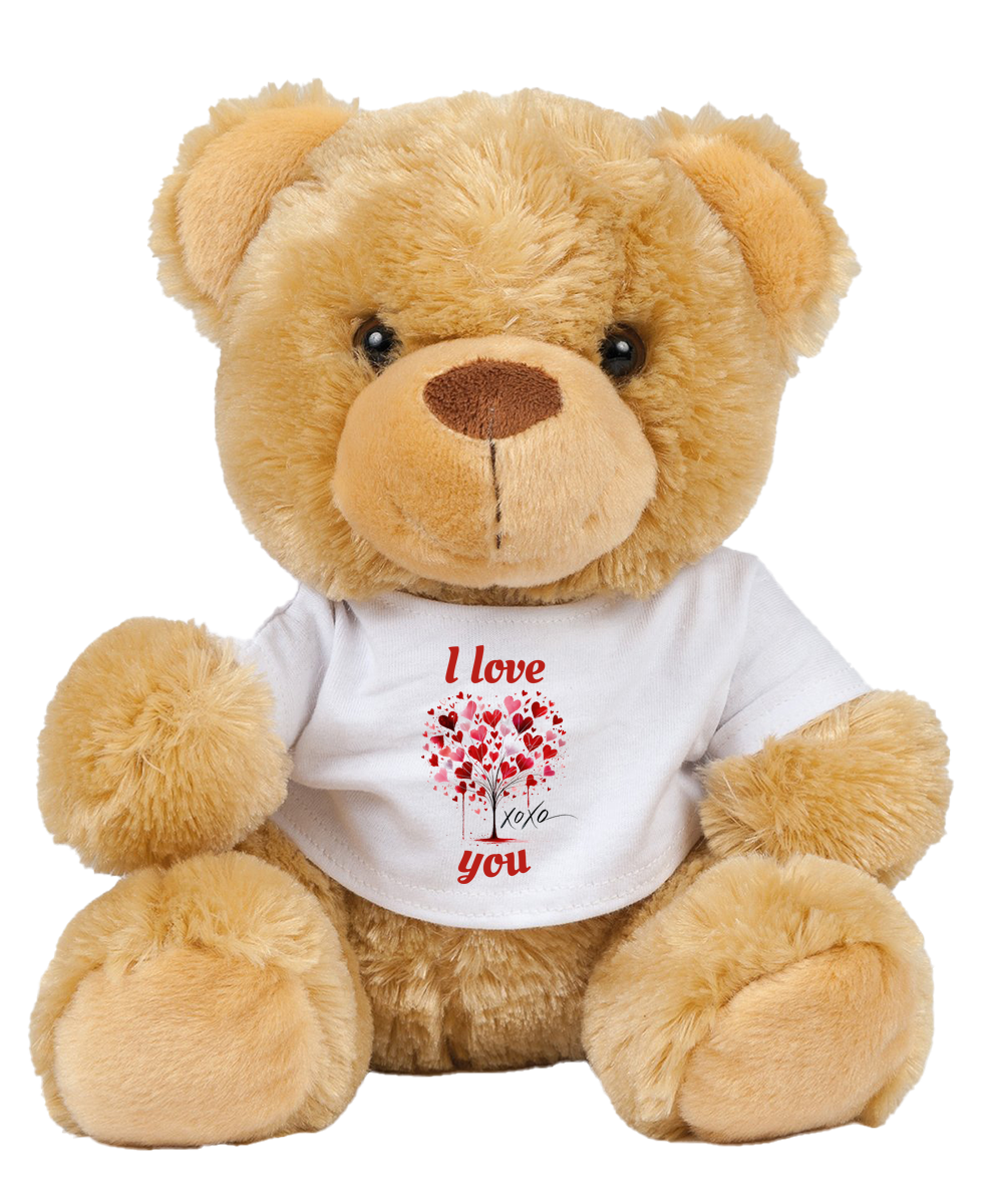 Valentines Teddy in a T