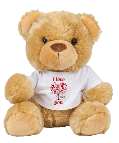 Valentines Teddy in a T