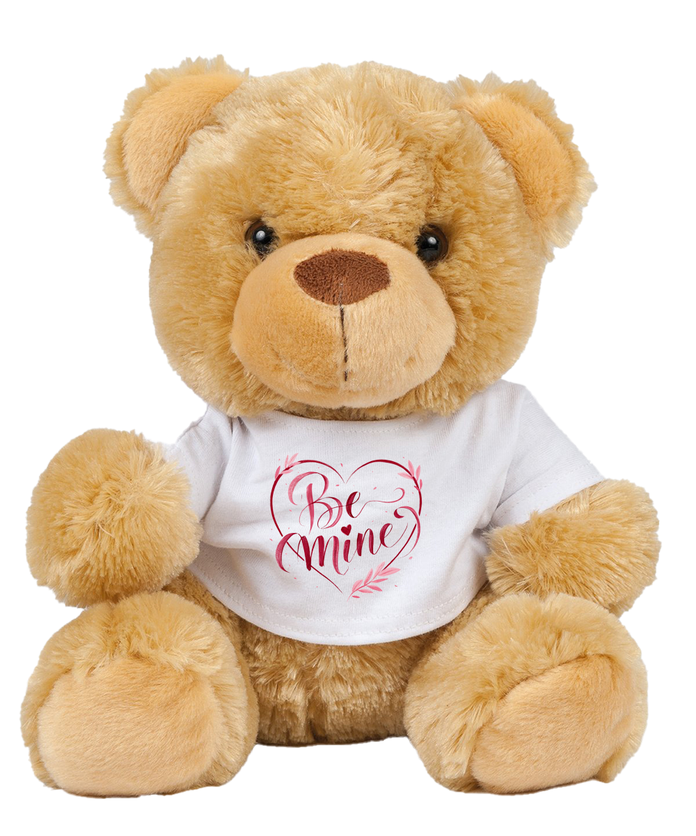 Valentines Teddy in a T