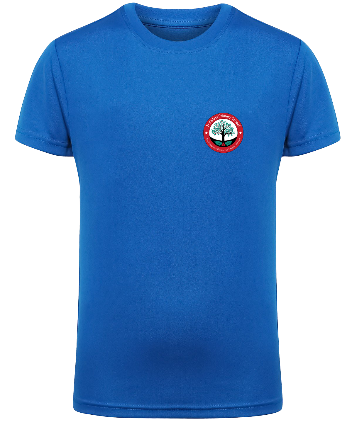 Hollyfast Primary School NEW STYLE PE T-shirt