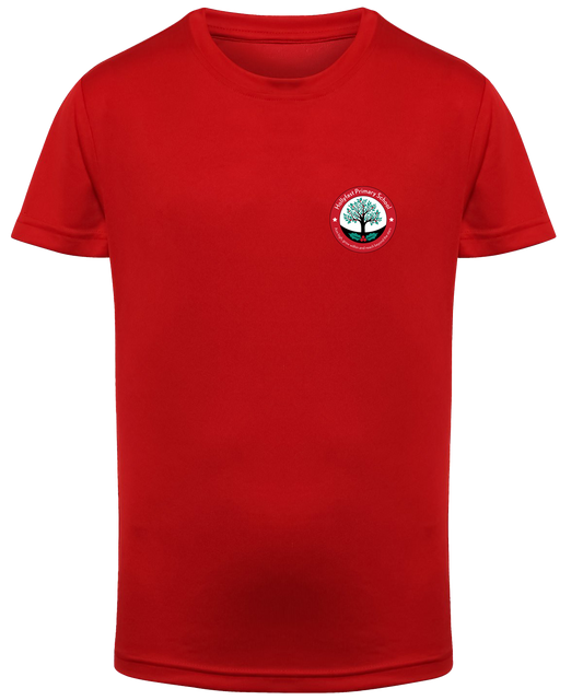 Hollyfast Primary School NEW STYLE PE T-shirt
