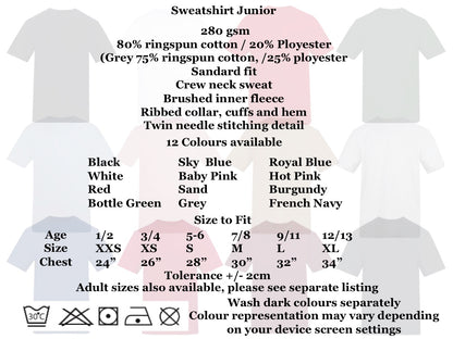 Christmas Personalised Sweatshirts Junior